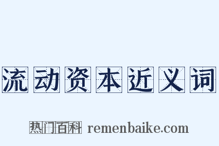 流动资本近义词是什么意思的图片